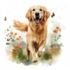 20 High-Quality Golden Retriever Clipart - Golden retriever digital watercolor JPG instant download for commercial use - Digital download
