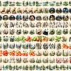 Forests Clipart Bundle - 1140+ transparent PNG, Woodland Landscape clipart, Nature Scenes graphics, Commercial use, Digital download