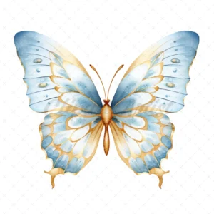 20 High-Quality Blue Gold Butterfly Clipart - Blue butterfly digital watercolor JPG instant download for commercial use - Digital download