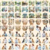 Veterinary Watercolor Clipart Bundle - 600+ transparent PNG, Veterinary care illustrations, Pet health png, Commercial use, Digital download