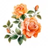 20 High-Quality Orange Rose Clipart - Orange rose digital watercolor JPG instant download for commercial use - Digital download