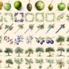 Olives Watercolor Clipart Bundle - 405+ transparent PNG, Mediterranean charm illustrations, Olive images, Commercial use, Digital download