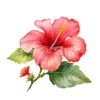 20 High-Quality Hibiscus Plant Clipart - Hibiscus plant digital watercolor JPG instant download for commercial use - Digital download