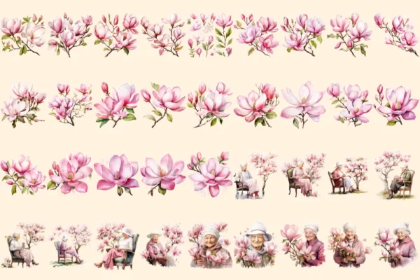Magnolia Watercolor Clipart Bundle - 234+ transparent PNG, Botanical floral illustrations, Blossom images, Commercial use, Digital download
