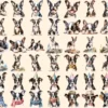 Boston Terriers Watercolor Clipart Bundle - 345+ transparent PNG, Boston puppy illustrations, Cute dog png, Commercial use, Digital download