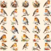 Robins Watercolor Clipart Bundle - 280+ transparent PNG, Delightful bird graphics, Adorable robin images, Commercial use, Digital download