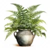 20 High-Quality Fern Antique Pot Clipart - digital watercolor JPG instant download for commercial use - Digital download