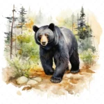 19 High-Quality Black Bear Clipart - Black bear digital watercolor JPG instant download for commercial use - Digital download