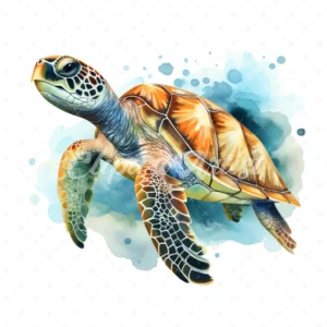 28 High-Quality Turtle Clipart - Turtle digital watercolor JPG instant download for commercial use - Digital download