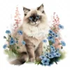 20 High-Quality Ragdoll Cats Clipart - Ragdoll cat digital watercolor JPG instant download for commercial use - Digital download