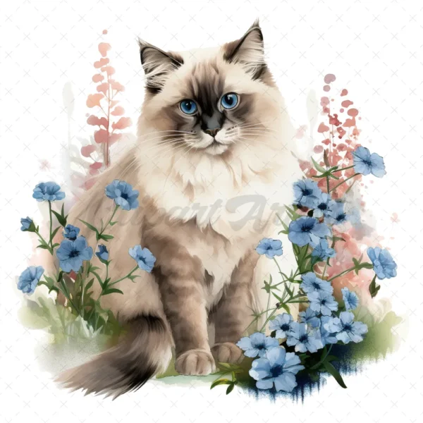 20 High-Quality Ragdoll Cats Clipart - Ragdoll cat digital watercolor JPG instant download for commercial use - Digital download