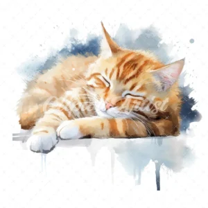 19 High-Quality Sleeping Cat Clipart - Sleeping cat digital watercolor JPG instant download for commercial use - Digital download