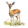 20 High-Quality Dik-Dik Antelope Clipart - Dik-dik antelope digital watercolor JPG instant download for commercial use - Digital download