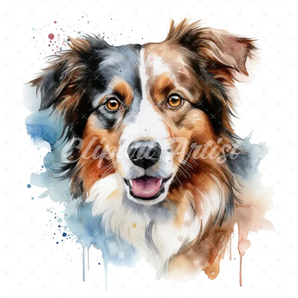 20 High-Quality Australian Shepherd Clipart - Shepherd digital watercolor JPG instant download for commercial use - Digital download
