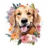 20 High-Quality Floral Golden Retriever Clipart - Retriever digital watercolor JPG instant download for commercial use - Digital download