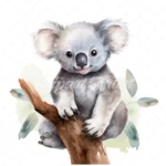 19 High-Quality Koala Portrait Clipart - Koala portrait digital watercolor JPG instant download for commercial use - Digital download