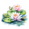 20 High-Quality Water Lily Clipart - Water lily digital watercolor JPG instant download for commercial use - Digital download