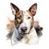 20 High-Quality Bull Terrier Portrait Clipart - Bull terrier digital watercolor JPG instant download for commercial use - Digital download