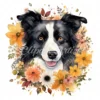 20 High-Quality Floral Border Collie Clipart - Border collie digital watercolor JPG instant download for commercial use - Digital download