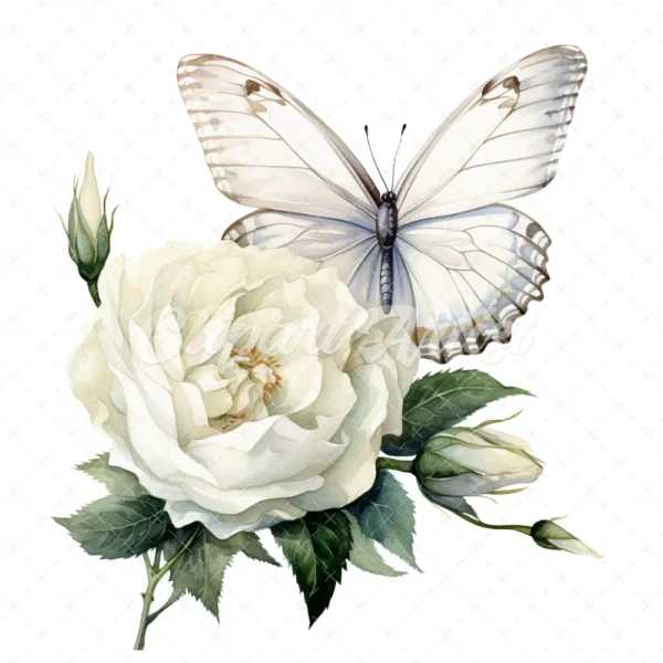 19 High-Quality White Butterfly Rose Clipart -White Butterfly digital watercolor JPG instant download for commercial use - Digital download