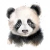 20 High-Quality Baby Panda Portrait Clipart - Panda Portrait digital watercolor JPG instant download or commercial use - Digital download