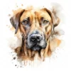 20 High-Quality Rhodesian Portrait Clipart - Rhodesian dog digital watercolor JPG instant download for commercial use - Digital download
