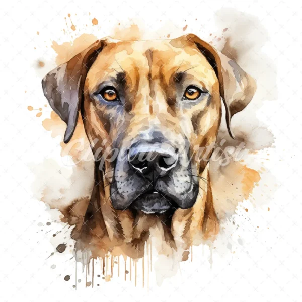 20 High-Quality Rhodesian Portrait Clipart - Rhodesian dog digital watercolor JPG instant download for commercial use - Digital download