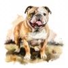 20 High-Quality Bulldog Clipart - Bulldog dog digital watercolor JPG instant download for commercial use - Digital download
