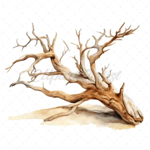 20 High-Quality Driftwood Clipart - Driftwood digital watercolor JPG instant download for commercial use - Digital download