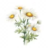 20 High-Quality Daisies Clipart - Daisies digital watercolor JPG instant download for commercial use - Digital download