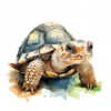 20 High-Quality Cute Tortoise Clipart - Cute tortoise digital watercolor JPG instant download for commercial use - Digital download