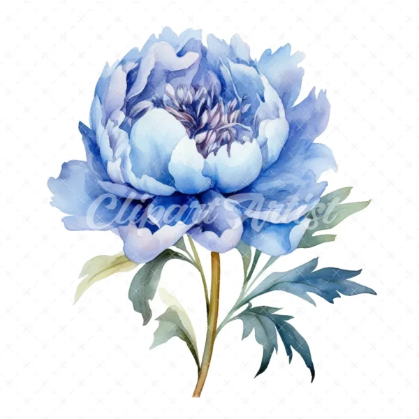 20 High-Quality Blue Peony Clipart - Blue peony flower digital watercolor JPG instant download for commercial use - Digital download