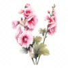 20 High-Quality Hollyhock Clipart - Hollyhock flowers digital watercolor JPG instant download for commercial use - Digital download