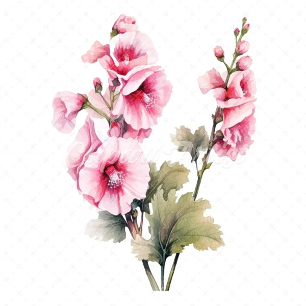 20 High-Quality Hollyhock Clipart - Hollyhock flowers digital watercolor JPG instant download for commercial use - Digital download