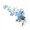 20 High-Quality Forget Me Not Clipart - Forget me not digital watercolor JPG instant download for commercial use - Digital download