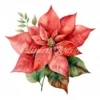 20 High-Quality Poinsettia Clipart - Poinsettia flower digital watercolor JPG instant download for commercial use - Digital download