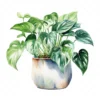 19 High-Quality Pot of Philodendron Clipart - Philodendron digital watercolor JPG instant download for commercial use - Digital download