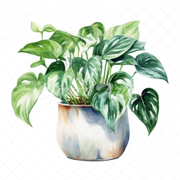 19 High-Quality Pot of Philodendron Clipart - Philodendron digital watercolor JPG instant download for commercial use - Digital download