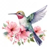 19 High-Quality Floral Hummingbird Clipart - Hummingbird digital watercolor JPG instant download for commercial use - Digital download