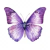 24 High-Quality Purple Butterfly Clipart - Purple butterfly digital watercolor JPG instant download for commercial use - Digital download