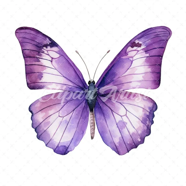 24 High-Quality Purple Butterfly Clipart - Purple butterfly digital watercolor JPG instant download for commercial use - Digital download