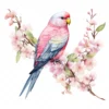 18 High-Quality Pink Bourke Parakeet Clipart - Pink parakeet digital watercolor JPG instant download for commercial use - Digital download
