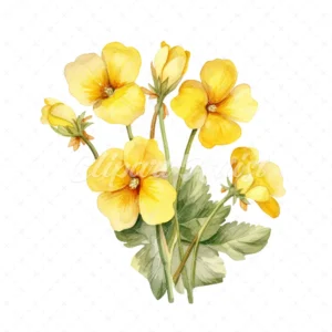 20 High-Quality Primrose Clipart - Primrose flowers watercolor JPG instant download for commercial use - Digital download