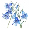 21 High-Quality Bluebells Clipart - Bluebells flowers digital watercolor JPG instant download for commercial use - Digital download