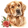 20 High-Quality Golden Retriever Clipart - Golden retriever digital watercolor JPG instant download for commercial use - Digital download