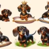 Dachshund PNG Clipart Collection - 28 PNG, Lovable puppy illustrations, Charming dog pet graphics, Commercial use, Digital download