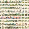 Camping Watercolor Clipart Bundle - 930+ transparent PNG, Nature adventure illustrations, Campsite graphics,Commercial use, Digital download