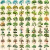 Trees Watercolor Clipart Bundle - 738+ transparent PNG, Scenic tree and landscape graphics, Green nature, Commercial use, Digital download