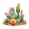 20 High-Quality Desert Cacti Clipart - Desert cacti digital watercolor JPG instant download for commercial use - Digital download