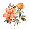 20 High-Quality Orange Rose Clipart - Orange rose digital watercolor JPG instant download for commercial use - Digital download
